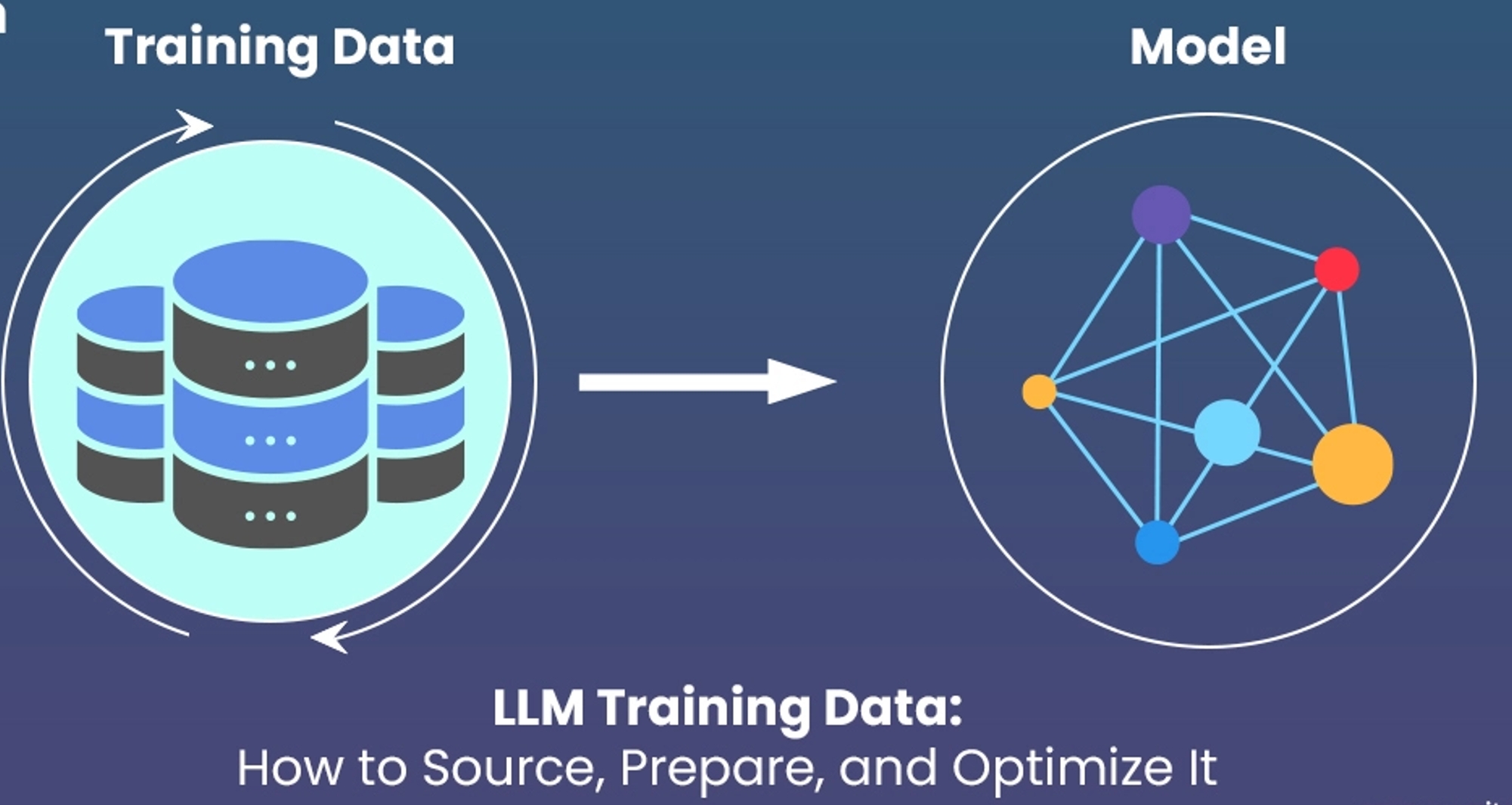 大模型数据集构建